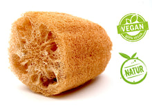 Laden Sie das Bild in den Galerie-Viewer, Luffa Naturschwamm 10 cm | natürlich + vegan | von actiMare natural cosmetics - actiMare.de Shop